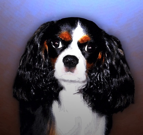 Sadie King Charles Spaniel Watercolor